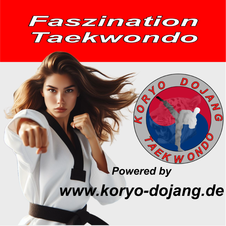 Faszination Taekwondo